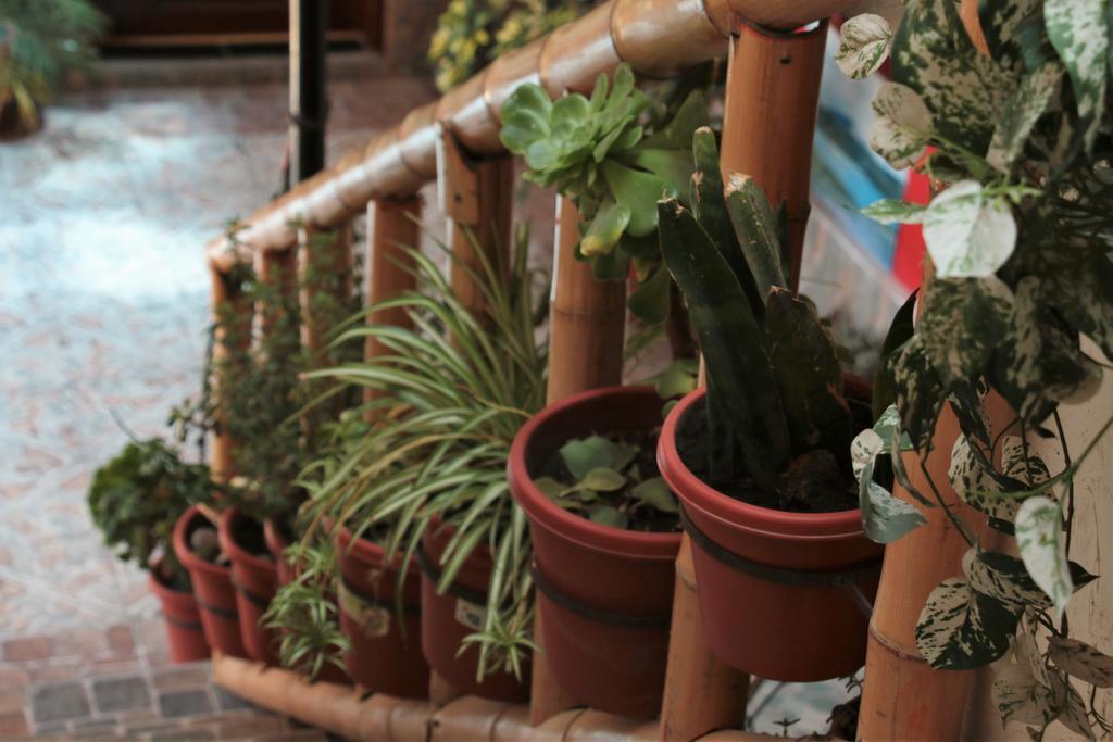 Hostel Sendero De Volcanes ラタクンガ エクステリア 写真